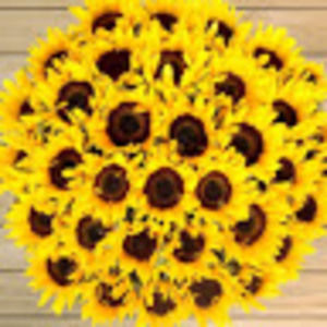 Meet your Posher, Ava